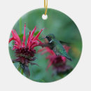 Search for hummingbird ornaments Green