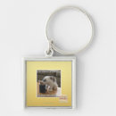 Search for addicted keychains I can has cheezburger