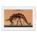 Search for natural history museum postcards States