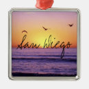 Search for san diego ornaments Beach
