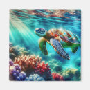 Search for turtle magnets Sea life