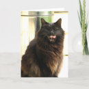 Search for black halloween cards Cat