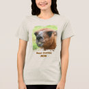 Recherche de drôle de lama tshirts Citation