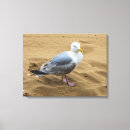 Search for seagull canvas prints Beach