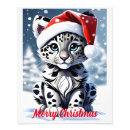 Recherche de snow leopard posters Gros chats