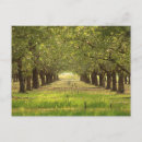 Recherche de farm cartes postales Nature