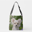 Recherche de chihuahua sacs Animal