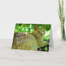 Recherche de dissimulation cartes postales Chat