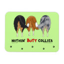Recherche de colley magnets Chiens