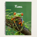 Search for tree frog planners Amphibian