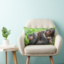 Search for chimpanzees pillows Monkey