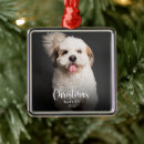 Search for pet ornaments My first christmas