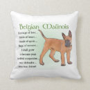Recherche de malinois belges coussins Chien
