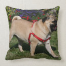 Recherche de carlin faon coussins Plomb et pam langrish