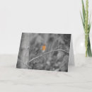 Search for robin redbreast christmas cards Bird