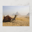 Search for dave postcards Middle east
