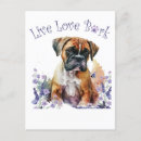 Recherche de chien boxer cartes postales Mignon