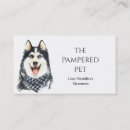 Recherche de husky cartes visite Chien