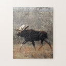 Search for moose puzzles Hunting