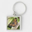 Search for beautiful butterflies keychains Nature