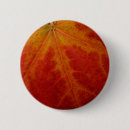 Search for autumn leaf buttons Maple