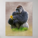 Recherche de singe gorille posters Faune