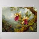Search for martin johnson heade posters Orchids