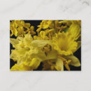 Recherche de narcisse cartes visite Printemps