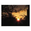 Recherche de belle vue posters Nature