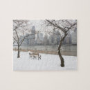 Search for new york winter puzzles Usa