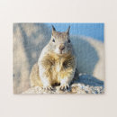 Recherche de écureuil puzzles Faune
