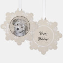 Search for havanese ornaments Dog