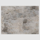 Search for birch bark tissue paper Wood