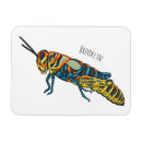 Recherche de sauterelle magnets Insecte