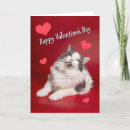 Search for funny cat valentines day cards Kitty