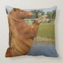 Recherche de miniature coussins Équestre