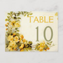 Search for vintage spring flowers postcards Roses