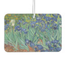 Search for green car air fresheners Summer
