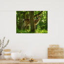 Search for fallow posters Deer