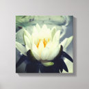 Search for lotus flower canvas prints Botanical