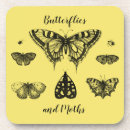 Search for butterfly coasters Moth