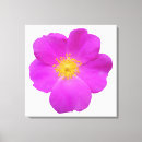 Search for pink flower canvas prints Wildflower