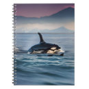 Search for orca notebooks Fish