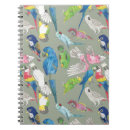 Search for parrotlet Animal