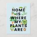 Search for houseplant postcards Gardening