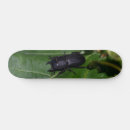 Search for stag skateboards Animal