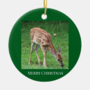 Recherche de cerf ornements Faune