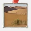 Recherche de maroc ornements Désert