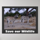 Search for save wildlife posters Conservation