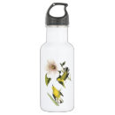 Search for wings water bottles Flower